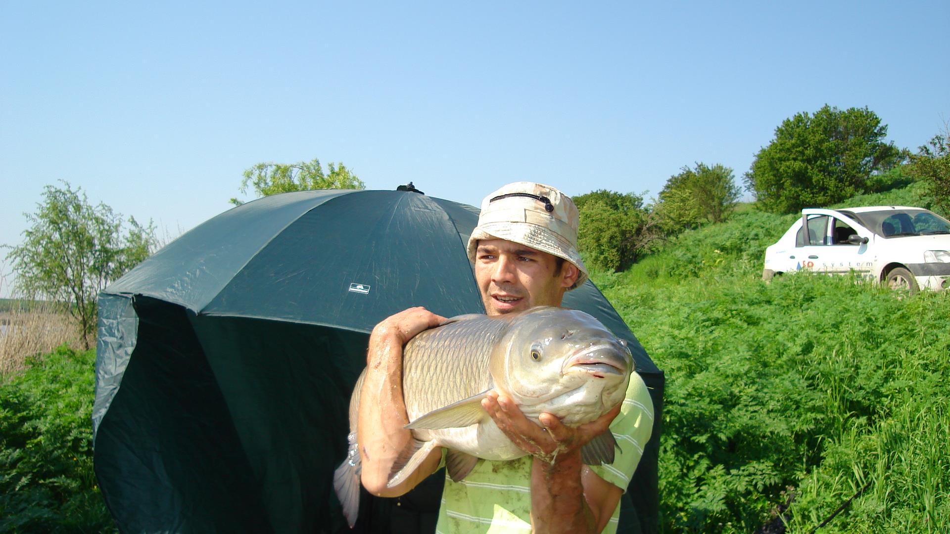 Tâncăbeşti  - dsc03276.JPG